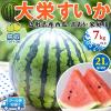 ���挧�Y ��h������ ��h���Z 2L�T�C�Y 7kg�ȏ� �󂠂� �y�N�[���֎w��z�E�ƒ�p(�����p�Ɠ������x) �i�{�[��������y���挧�Y���Z�z��