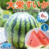 �󂠂� ���� ��h ������ ��h���Z L�T�C�Y 6kg�ȏ� �y�N�[���֎w��z �ƒ�p (�����p�Ɠ������x) �i�{�[��������y���挧�Y���Z�z ����
