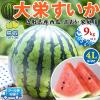 �󂠂� ���� ��h ������ ��h���Z 4L�T�C�Y 9kg�ȏ� �ƒ�p �y�N�[���֎w��z (�����p�Ɠ������x) �i�{�[��������y���挧�Y���Z�z ����