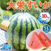 �󂠂� ���� ��h ������ ��h���Z 5L�T�C�Y 10kg�ȏ� �ƒ�p �y�N�[���֎w��z (�����p�Ɠ������x) �i�{�[��������y���挧�Y���Z�z ��