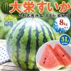 �󂠂� ���� ��h ������ ��h���Z 3L�T�C�Y 8kg�ȏ� �ƒ�p  (�����p�Ɠ������x) �i�{�[��������y���挧�Y���Z�z ������ �M�t�g 