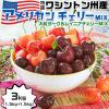 ������ ���V���g���B�Y ���� �A�����J���`�F���[ MIX�y3kg�z�H�ה�� �嗱�_�[�N&���C�j�A MIX ����嗱 �������� ���[�j�A�� �r���O��