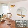 �{���r�A���R�� �L���b�g�|�[�� �˂����� ����220cm~265cm �X���� �L���b�g�c���[ �L���b�g�^���[ �L�c���[ �L�^���[ �L�p �n�����b�N�t 