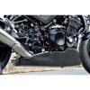 �}�W�J�����[�V���O Z900RS �A���_�[�J�E�� �����O�^�C�v �f�� �J�[�{�����D�� Magical Racing
