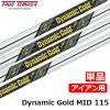 �g�D���[�e���p�[ TRUE TEMPER TRUETEMPER DynamicGold �_�C�i�~�b�N�S�[���hMID 115 �A�C�A���p�X�`�[���V���t�g �P�i �S���t�V���t�g 