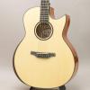 NAGA GUITARS -LIGHT SERIES- S-60GAC �i�K�M�^�[�Y