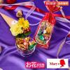 ��̓� �ԂƃZ�b�g �� ���َq ���� �X�C�[�c �M�t�g �a���� �����[�`���R���[�g �`���R���[�g�~�b�N�X�Ƃ���4�{�̃u�[�P�Z�b�g