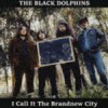 THE BLACK DOLPHINS / I Call It The Brandnew City [CD]