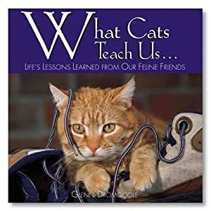 What Cats Teach Us...: Life's Lessons Learned from Our Feline Friends(中古品)