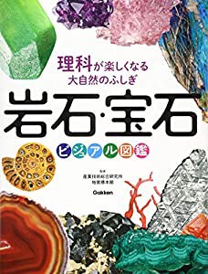 理科が楽しくなる大自然のふしぎ 岩石・宝石ビジュアル図鑑(中古品)