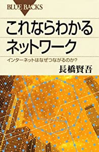 これならわかるネットワーク インターネットはなぜつながるのか? (ブルーバックス 1599)(中古品)