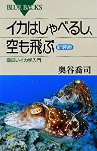 イカはしゃべるし、空も飛ぶ 面白いイカ学入門 〈新装版〉 (ブルーバックス)(中古品)