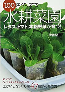 100円グッズで水耕菜園(中古品)