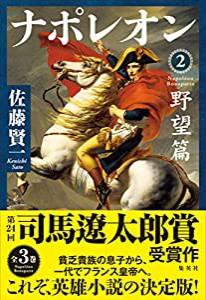 ナポレオン 2 野望篇(中古品)