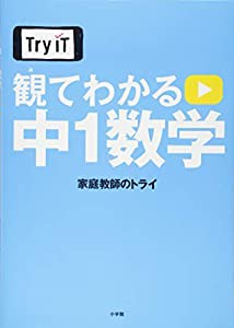 Try IT(トライイット) 観てわかる 中1数学(中古品)