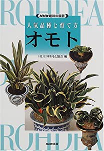 NHK趣味の園芸・人気品種と育て方 オモト (NHK趣味の園芸 人気品種と育て方)(中古品)