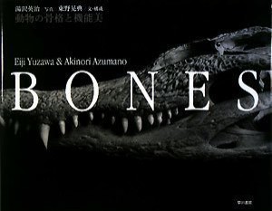 BONES 動物の骨格と機能美(中古品)