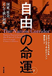 自由の命運 下: 国家、社会、そして狭い回廊(中古品)