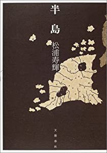 半島(中古品)