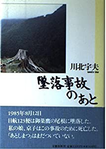 墜落事故のあと(中古品)