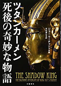 ツタンカーメン 死後の奇妙な物語(中古品)