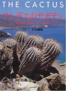 アンデスのサボテン(中古品)