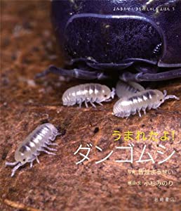 うまれたよ! ダンゴムシ (よみきかせ いきものしゃしんえほん5)(中古品)