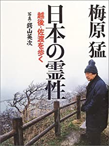 日本の霊性—越後・佐渡を歩く(中古品)