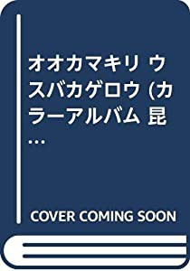 オオカマキリ ウスバカゲロウ (カラーアルバム 昆虫)(中古品)