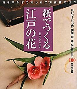 紙でつくる江戸の花—簡単手わざで楽しむ江戸百花の世界(中古品)