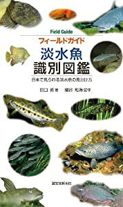 フィールドガイド 淡水魚 識別図鑑: 日本で見られる淡水魚の見分け方(中古品)