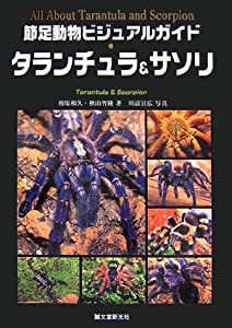 節足動物ビジュアルガイド タランチュラ&サソリ(中古品)