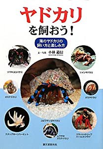 ヤドカリを飼おう!—海のヤドカリの飼い方と楽しみ方(中古品)