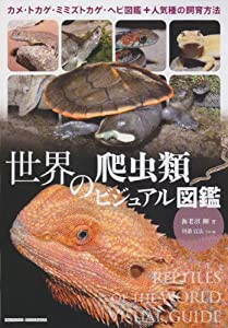 世界の爬虫類ビジュアル図鑑―カメ・トカゲ・ミミズトカゲ・ヘビ図鑑+人気種の飼育方法(中古品)