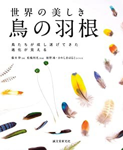 世界の美しき鳥の羽根: 鳥たちが成し遂げてきた進化が見える(中古品)