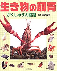 生き物の飼育—がくしゅう大図鑑(中古品)