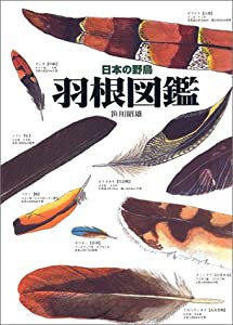 日本の野鳥 羽根図鑑(中古品)