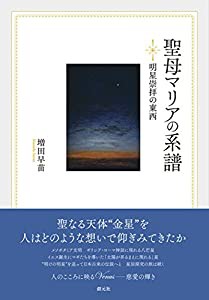 聖母マリアの系譜:明星崇拝の東西(中古品)