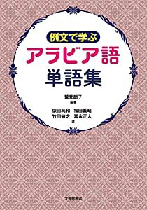 例文で学ぶ アラビア語単語集(中古品)