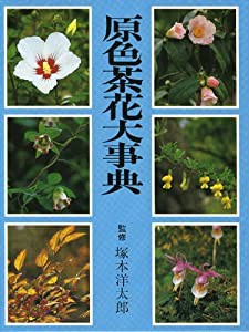 原色茶花大事典(中古品)