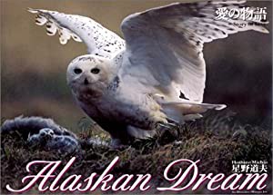 愛の物語 Alaskan Dream 3(中古品)