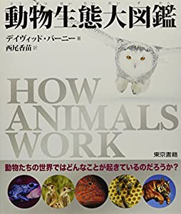 動物生態大図鑑(中古品)