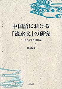 中国語における「流水文」の研究(中古品)