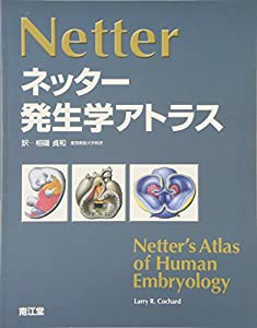 ネッター発生学アトラス(中古品)