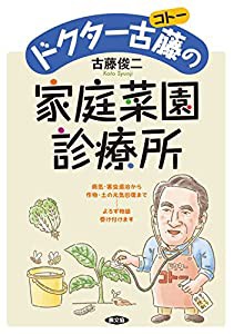 ドクター古藤(コトー)の家庭菜園診療所(中古品)