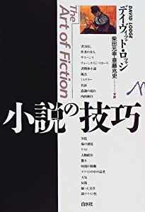 小説の技巧(中古品)