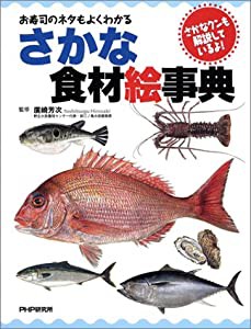 さかな食材絵事典―お寿司のネタもよくわかる さかなクンも解説しているよ!(中古品)