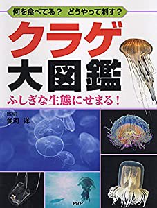 何を食べてる? どうやって刺す? クラゲ大図鑑 ふしぎな生態にせまる! (楽しい調べ学習シリーズ)(中古品)