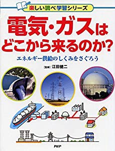 電気・ガスはどこから来るのか? エネルギー供給のしくみをさぐろう (楽しい調べ学習シリーズ)(中古品)