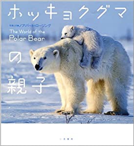 ホッキョクグマの親子(中古品)